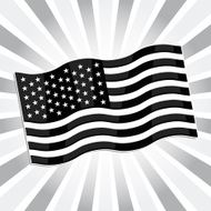 American Flag N91