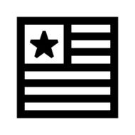 American Flag N103