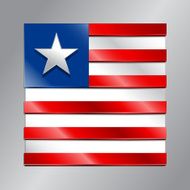 American Flag N105