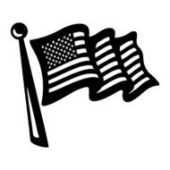 American Flag N108