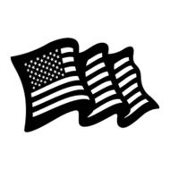 American Flag N110