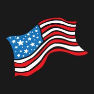 American Flag N111