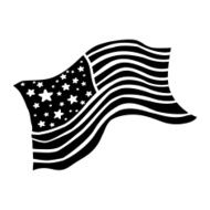 American Flag N112