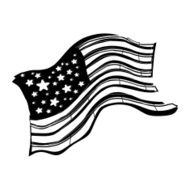 American Flag N113