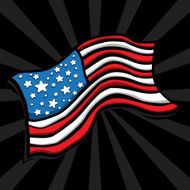 American Flag N114