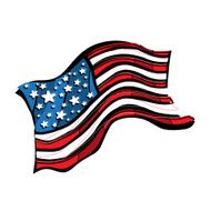 American Flag N115