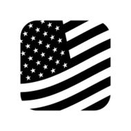 American Flag N116
