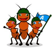 Ants