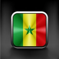 original and simple Senegal flag isolated vector