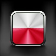 Flag of Poland glossy icon Button with Polish flag