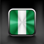 flag of Nigeria national travel icon country symbol