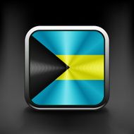 Bahamas vector flag isolated on background national