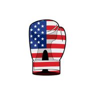Boxing Glove with flag of USA Sports accessory textured America