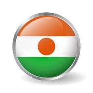 Niger flag button vector