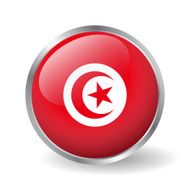 Tunisia flag button vector