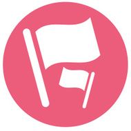 Flag Icon N29