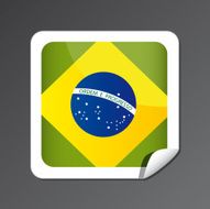 Brazilian flag button