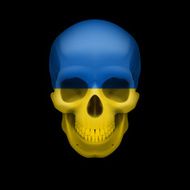 Ukrainian flag skull