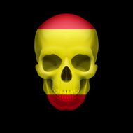 Spanish flag skull