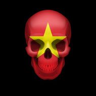 Vietnamese flag skull
