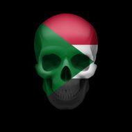 Sudanese flag skull