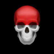 Monacan flag skull