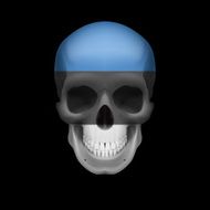 Estonian flag skull