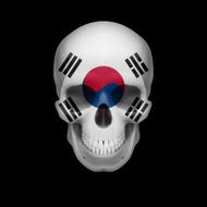 South Korean flag skull