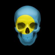 Palauan flag skull