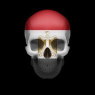 Egyptian flag skull