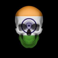 Indian flag skull