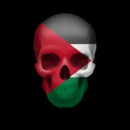 Palestinian flag skull
