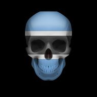 Botswana flag skull