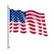 American Flag Illustration N2