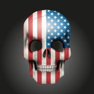 Skull with USA flag N2