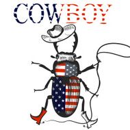 Creative background with cowboy beetle colored in USA flag rodeo N2