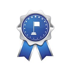 Flag Sign Blue Vector Icon Design