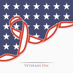 Veterans Day Background N3