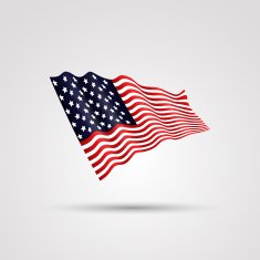 Flag of the USA isolated on white