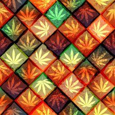 Hemp leaves N2