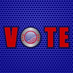 vote in USA N2