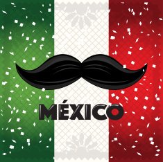 Mexican Mustache Copy Space N2