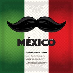Mexican Mustache Copy Space N3