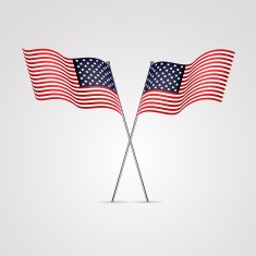 American flag isolated on white N3