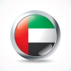 United Arab Emirates flag button