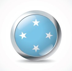 Micronesia flag button