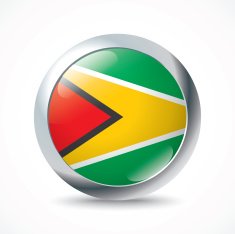 Guyana flag button