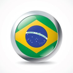 Brazil flag button