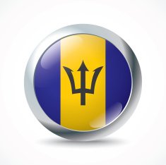 Barbados Flag Button N2