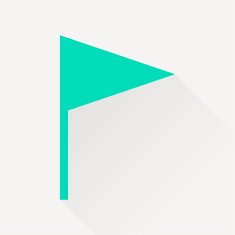 icon of flag N5